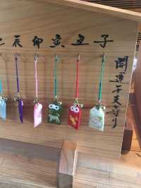 一生必到一次🥹四國香取金刀比羅宮‼️體力大挑戰😅