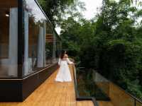 Cabin กลางป่าเชียงใหม่ ที่พักสุดปัง🌳