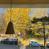 Autumn Seoul Cafe with the Best foliages view