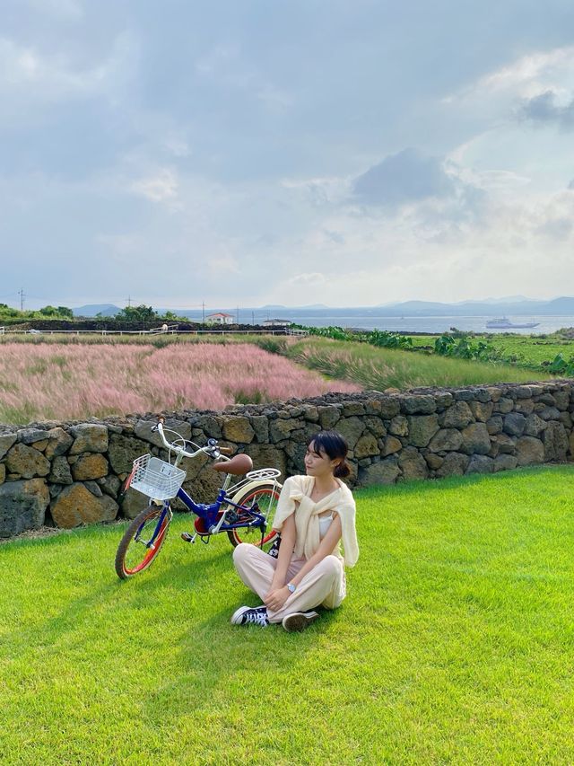 제주 우도에서 만나는 포토존 우도 정원🌿