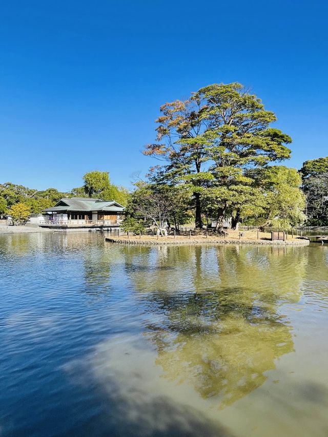 【神奈川県/旗上弁財天社】美しい源氏池に浮かぶ神社