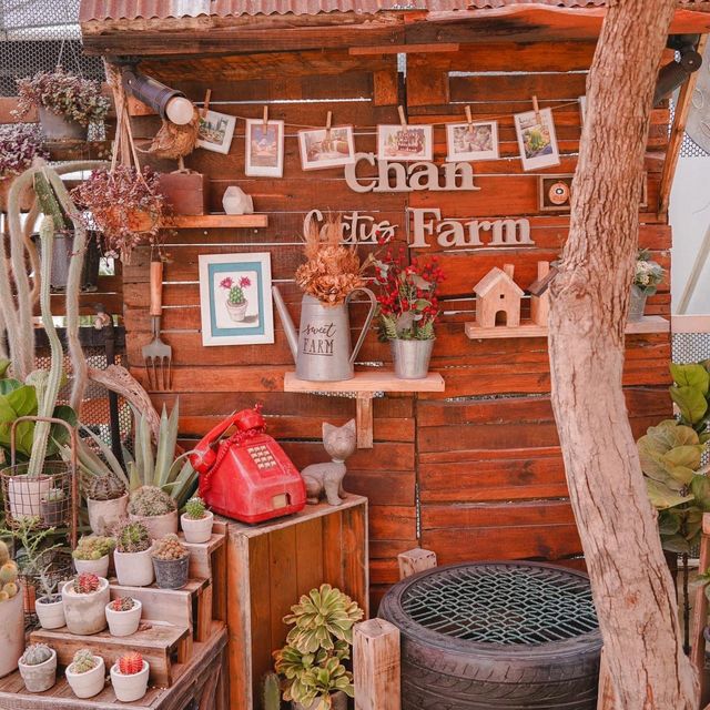 CHAN nature cafe' คาเฟ่ที่ถูกโอบล้อมไปด้วยแคตตัส
