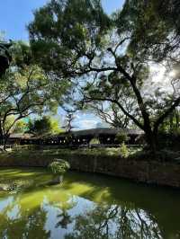 秋天必去的好去處，九龍公園！🍂🍁