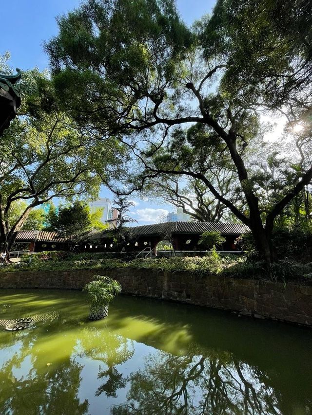 秋天必去的好去處，九龍公園！🍂🍁