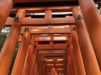 ขอพรเทพจิ้งจอก ที่ศาลเจ้าฟูชิมิอินาริ ⛩️