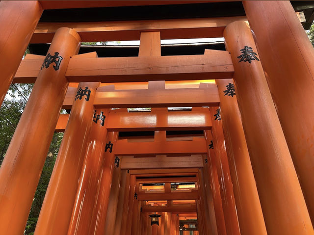 ขอพรเทพจิ้งจอก ที่ศาลเจ้าฟูชิมิอินาริ ⛩️
