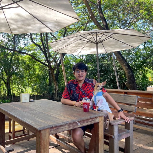 มุมนาคาเฟ่ ลพบุรี