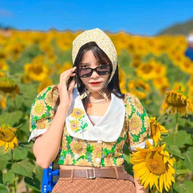 ทุ่งทานตะวันเขาใหญ่ บานสะพรั่งรับลมหนาว🌻