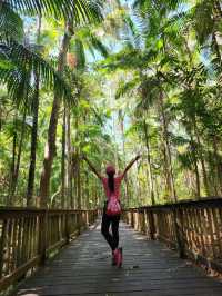 Hidden Gem in Queensland, Australia 🇦🇺