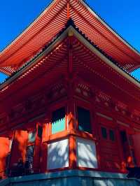 高野山：霊と自然の調和 🏞️🏯