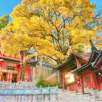 金燦燦的麗江古城