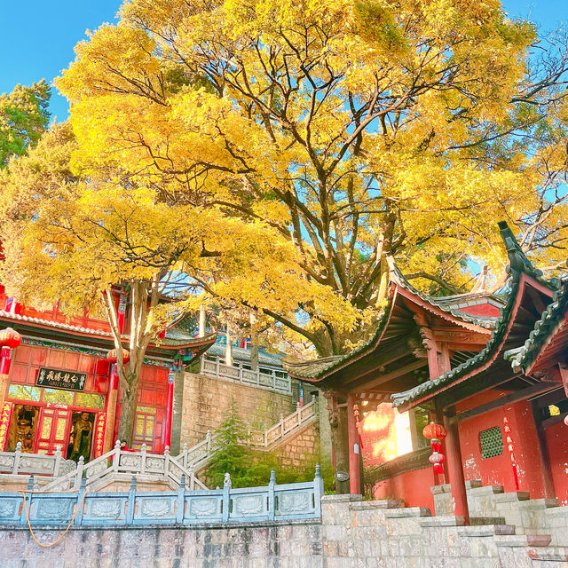 金燦燦的麗江古城