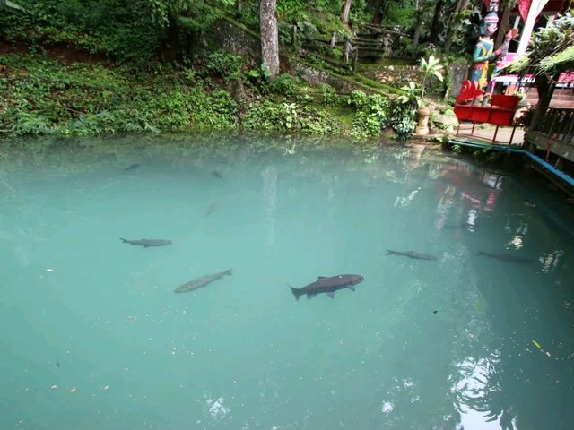 วัดถ้ำเชียงดาว วัดที่ห้ามพลาดเมื่อมาถึงเชียงดาว
