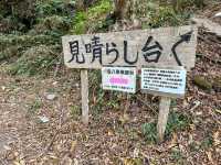 紅葉名所　一目八景