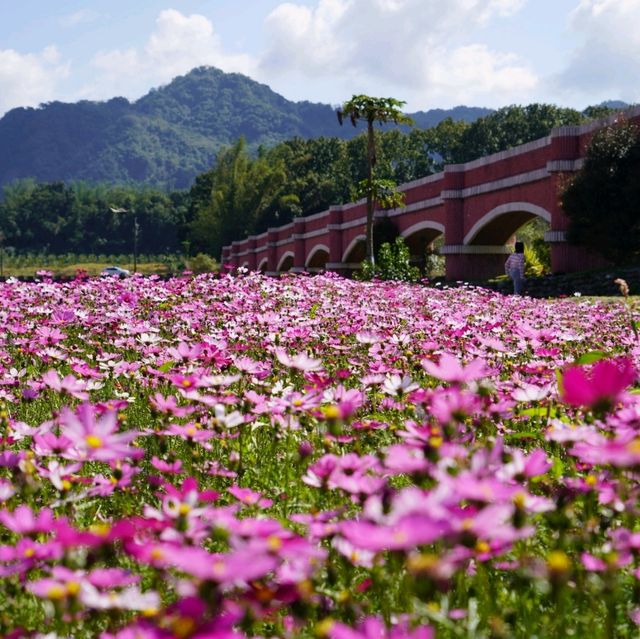 一座給水走的橋~二層坪水橋