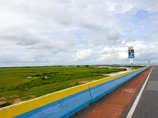 สะพานเฉลิมพระเกียรติ 80 พรรษาฯ หรือสะพานเอกชัย