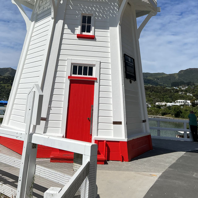 Day trip to Akaroa from Christchurch