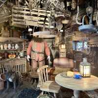 A magical tour for muggles