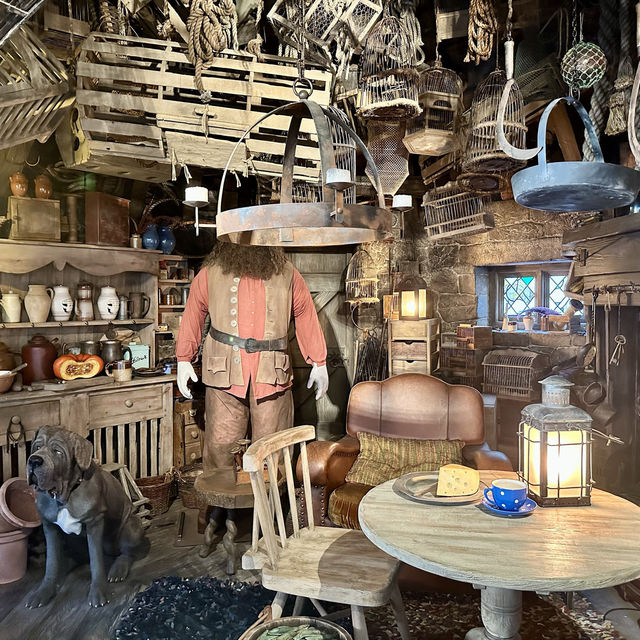 A magical tour for muggles