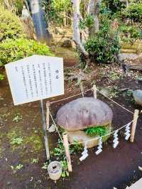 【神奈川県/奥津宮】神使の亀が見守る神社