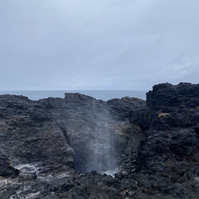 Witness the Natural Wonder