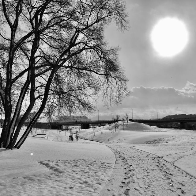 Winter's Charm: Asahikawa Splendor Rediscover