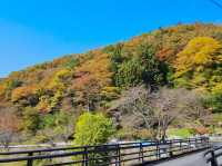 Fukuroda Falls 