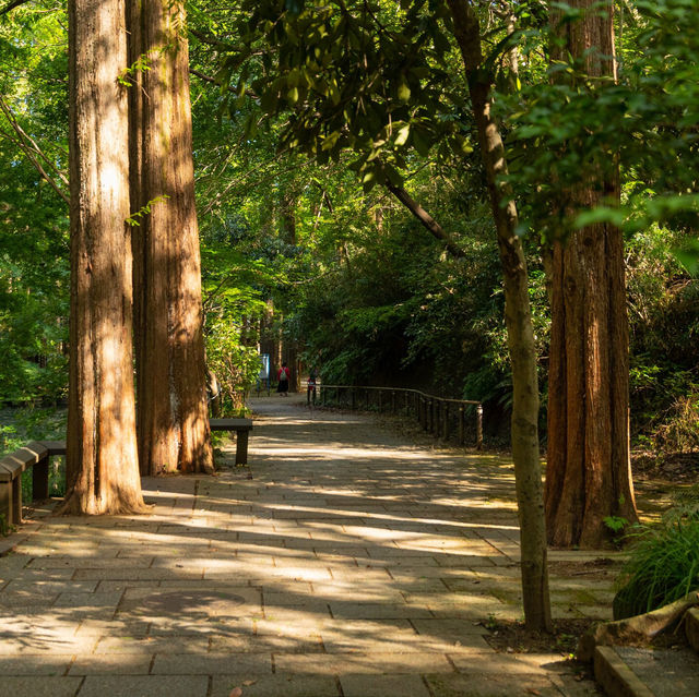 A park near Kawasaki station