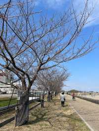 【大阪府】辰年に行ってみたい「龍神社」