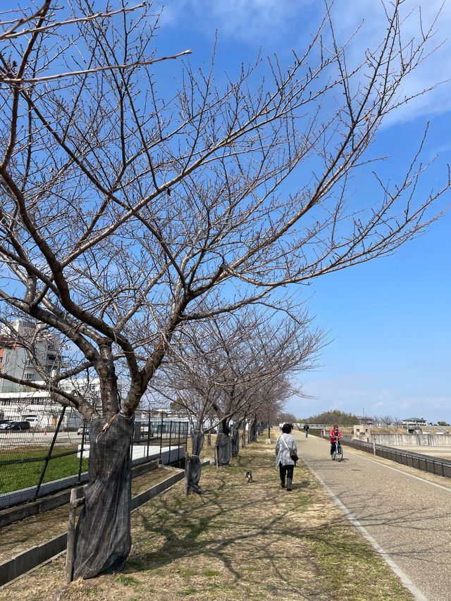 【大阪府】辰年に行ってみたい「龍神社」
