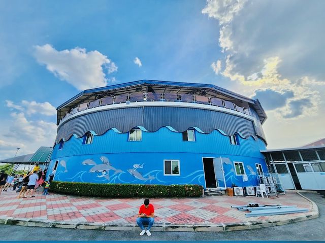 Dolphinarium Pattaya 