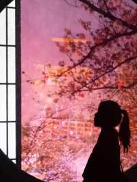 【東京都/銀座】非日常を感じる癒され桜満開スポットはここ！