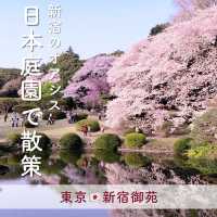 1000本の桜が咲き誇る🌸新宿のオアシス『新宿御苑』