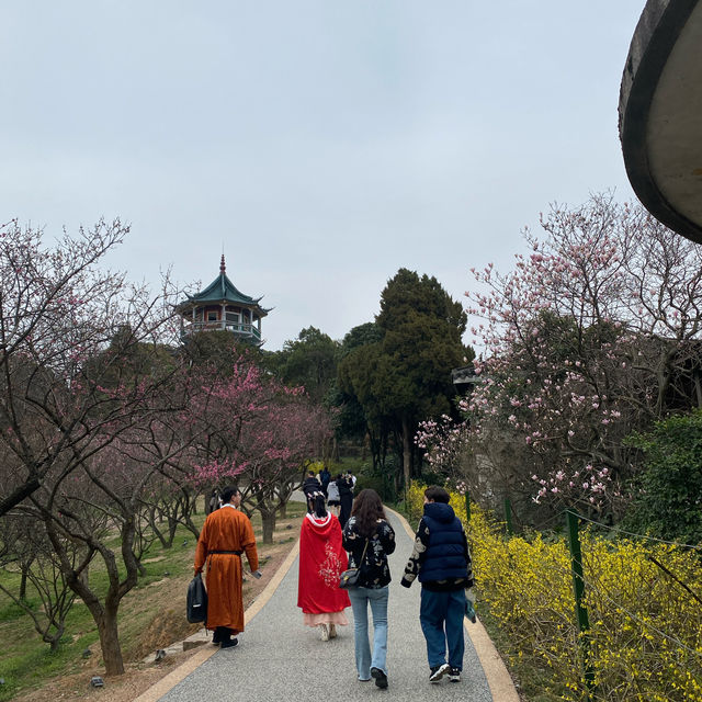 心花怒放@無錫之旅