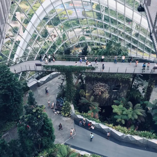 Cloud Forest โดมกระจกขนาดใหญ่