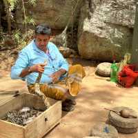 Srilanka Snake guy
