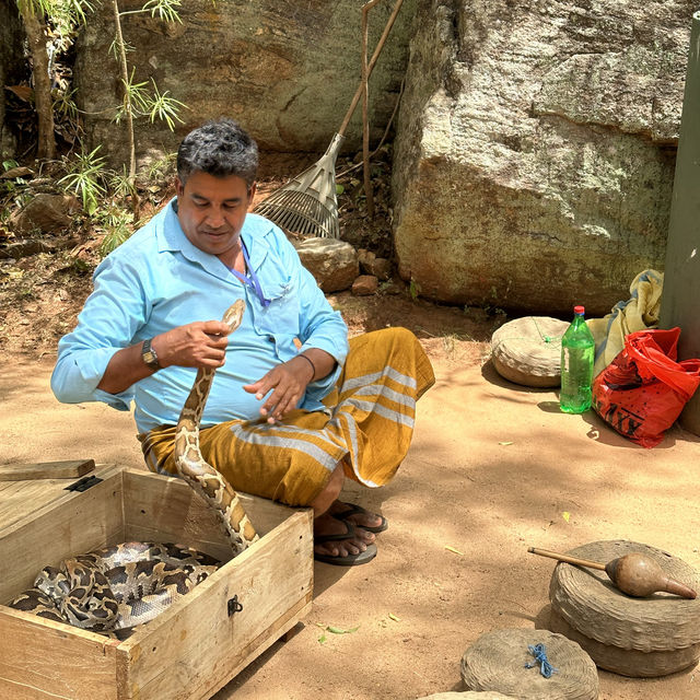 Srilanka Snake guy