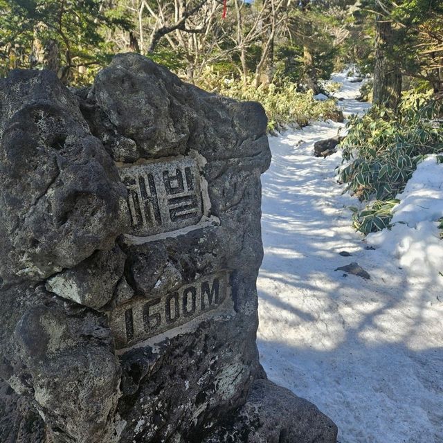 한발한발 올라 한라산 정상에 도착!! 