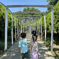 【十鼓仁糖文創園區】臺南必去親子景點，適合全年遊玩