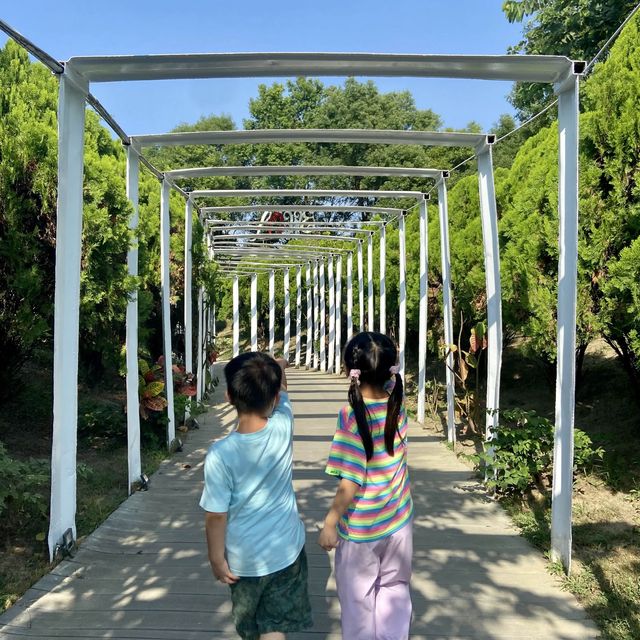 【十鼓仁糖文創園區】臺南必去親子景點，適合全年遊玩