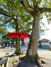 【大原神社/千葉県】夫婦神を祀る縁結びご利益あり