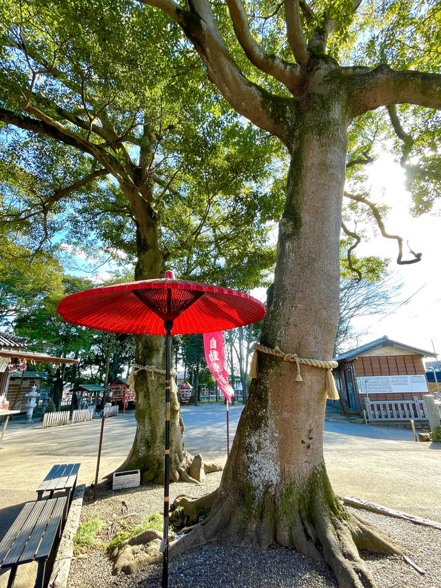 【大原神社/千葉県】夫婦神を祀る縁結びご利益あり