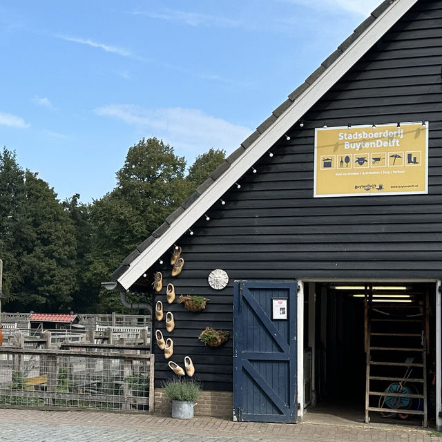 Reconnect with nature in Delft Reconnect with nature in Delft