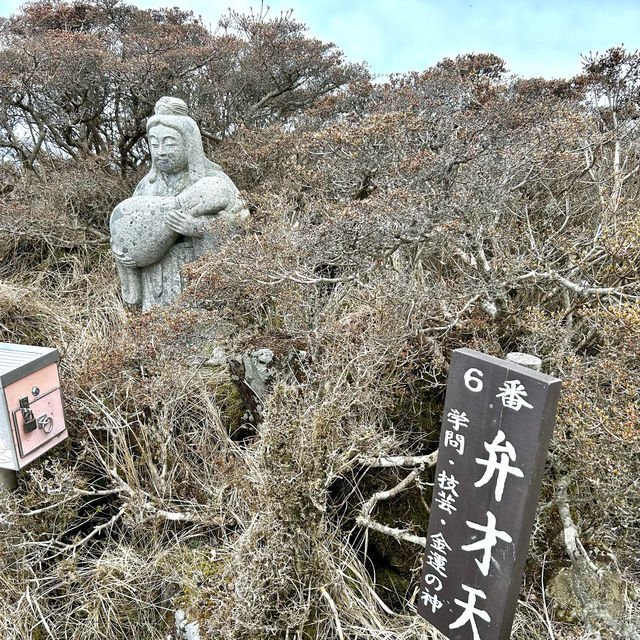 【別府】鶴見岳にある別府ロープウェイからの桜