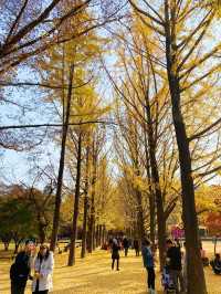 🍂 Winter Sonata Tree