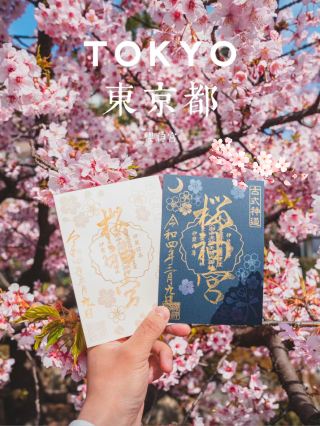 Spring Travel Notes | Early Spring Exclusive at Sakura Jingu Shrine
