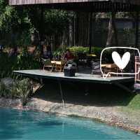 No.39 Cafe- A Charming Oasis in Chiang Mai ✨✨