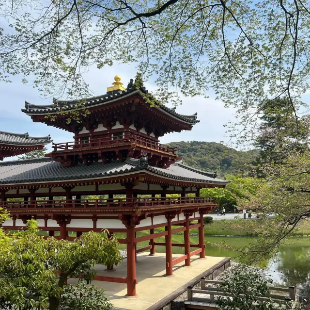 一趟心靈洗滌之旅-宇治平等院⛩️