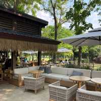 Trot Cafe Khaoyai 