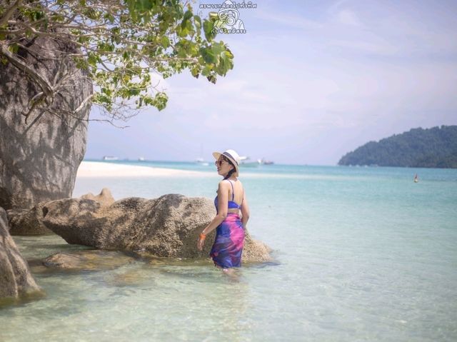 One Day Trip หมู่เกาะสุรินทร์ 